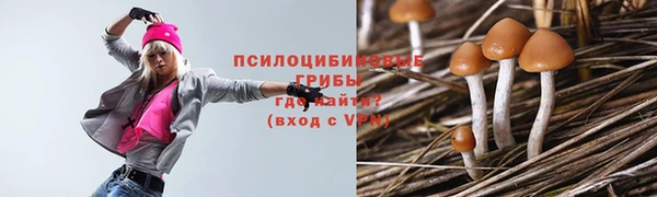 ешки Магас