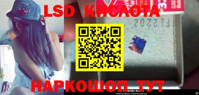 молекула духа Камышлов