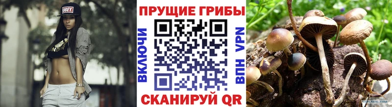 Псилоцибиновые грибы MAGIC MUSHROOMS  сайты даркнета Telegram  Сургут 