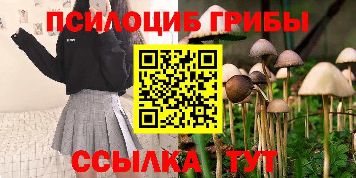 Псилоцибиновые грибы MAGIC MUSHROOMS Сургут