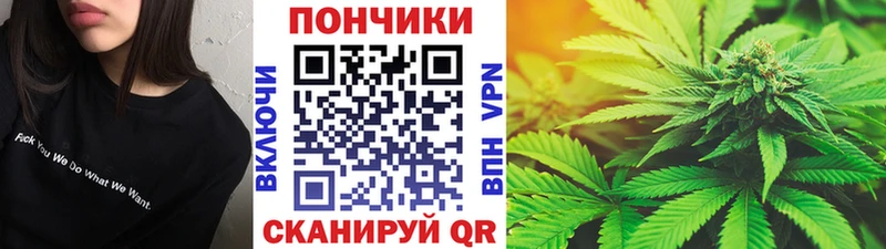 Каннабис семена  купить наркотики сайты  мега ONION  Сургут 